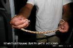 san diego ghost tours and ghost hunting